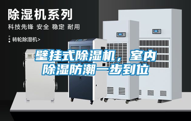 壁挂式除湿机，室内除湿防潮一步到位