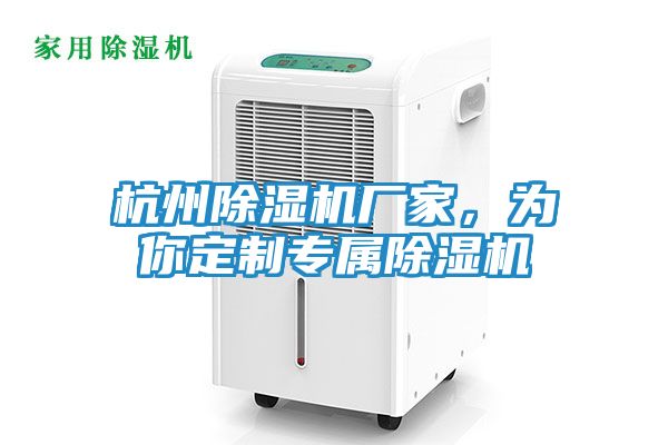 杭州除湿机厂家，为你定制专属除湿机