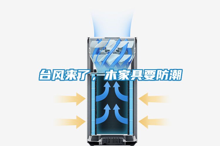 台风来了，木家具要防潮