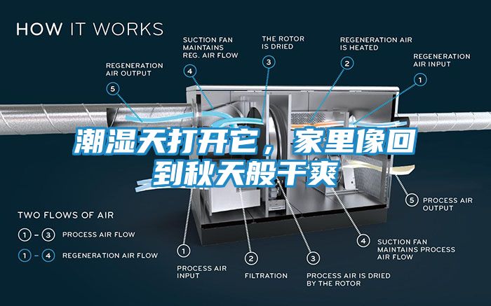 潮湿天打开它，家里像回到秋天般干爽