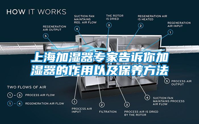 上海加湿器专家告诉你加湿器的作用以及保养方法