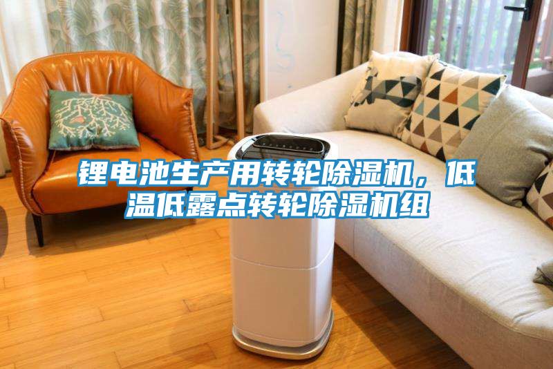 锂电池生产用转轮除湿机，低温低露点转轮除湿机组