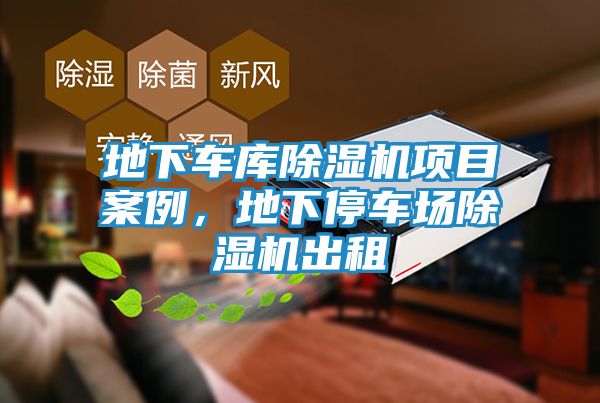 地下车库除湿机项目案例，地下停车场除湿机出租