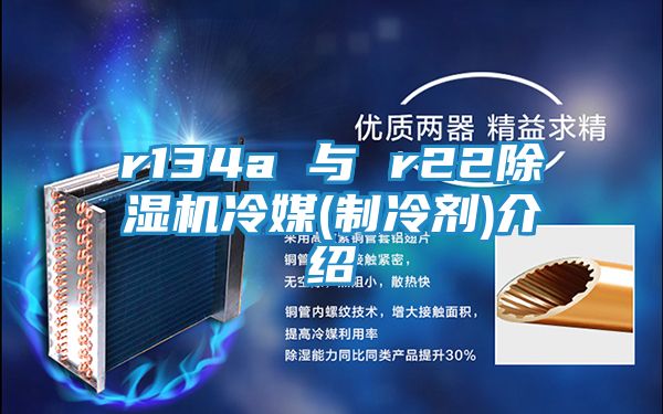 r134a 与 r22除湿机冷媒(制冷剂)介绍