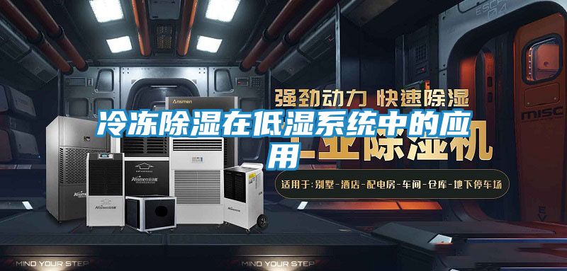 冷冻除湿在低湿系统中的应用