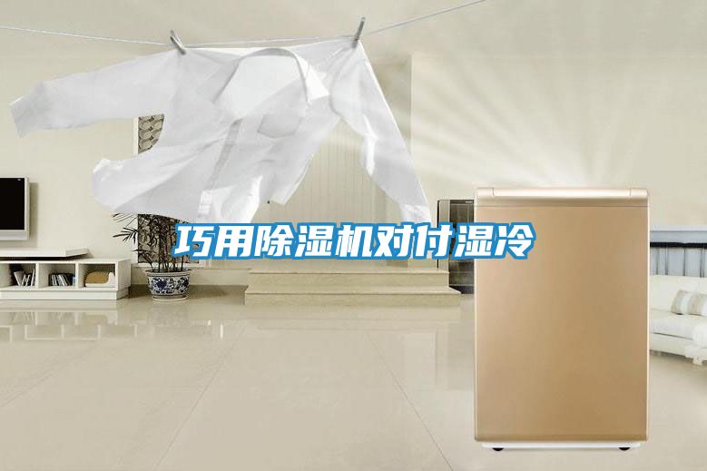 巧用除湿机对付湿冷