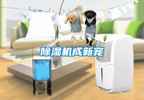 除湿机成新宠