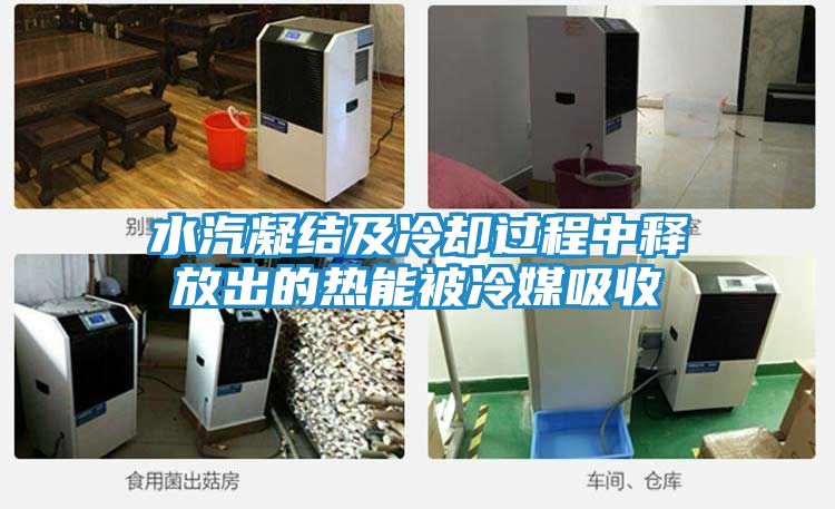 水汽凝结及冷却过程中释放出的热能被冷媒吸收