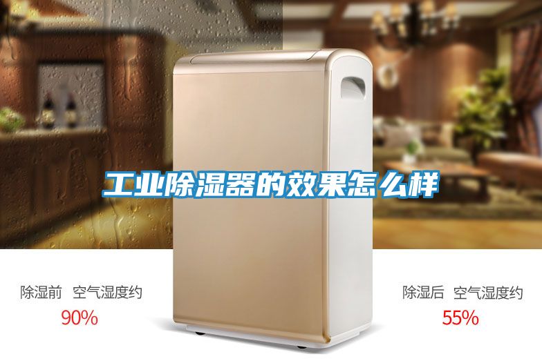 工业除湿器的效果怎么样