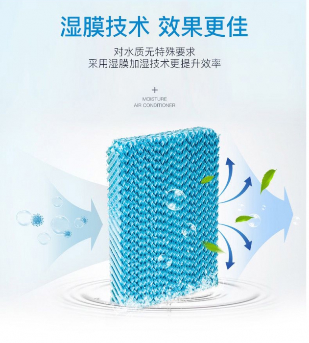 夏季如何驱除体内湿气,了解一下