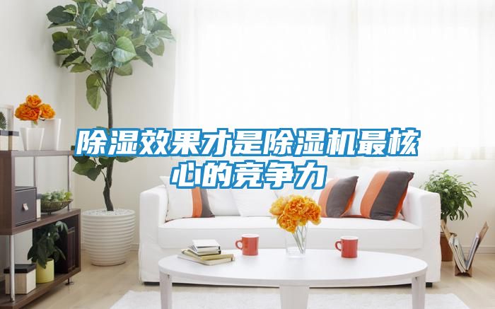 除湿效果才是除湿机最核心的竞争力