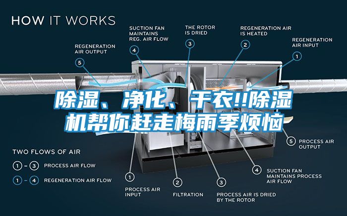 除湿、净化、干衣!!除湿机帮你赶走梅雨季烦恼