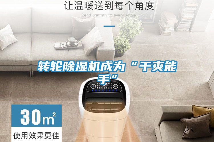转轮除湿机成为“干爽能手”