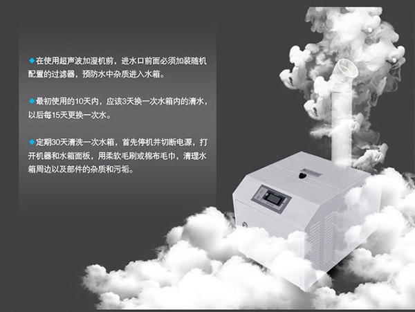 出口新鲜香菇的加工与包装