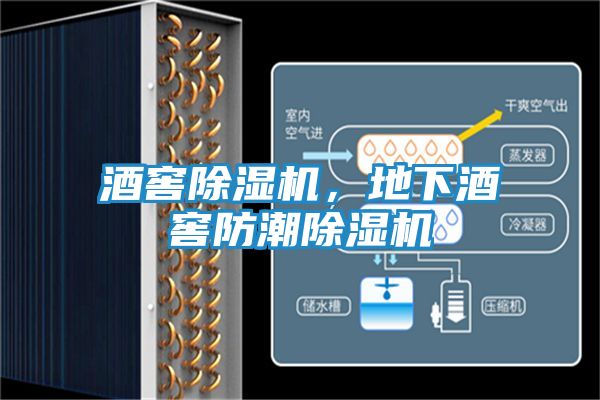 酒窖除湿机，地下酒窖防潮除湿机