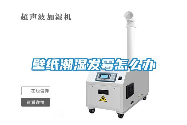 壁纸潮湿发霉怎么办