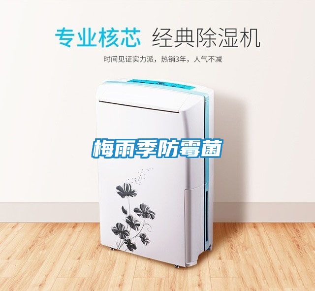梅雨季防霉菌