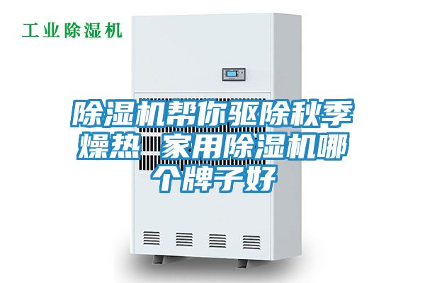 除湿机帮你驱除秋季燥热 家用除湿机哪个牌子好