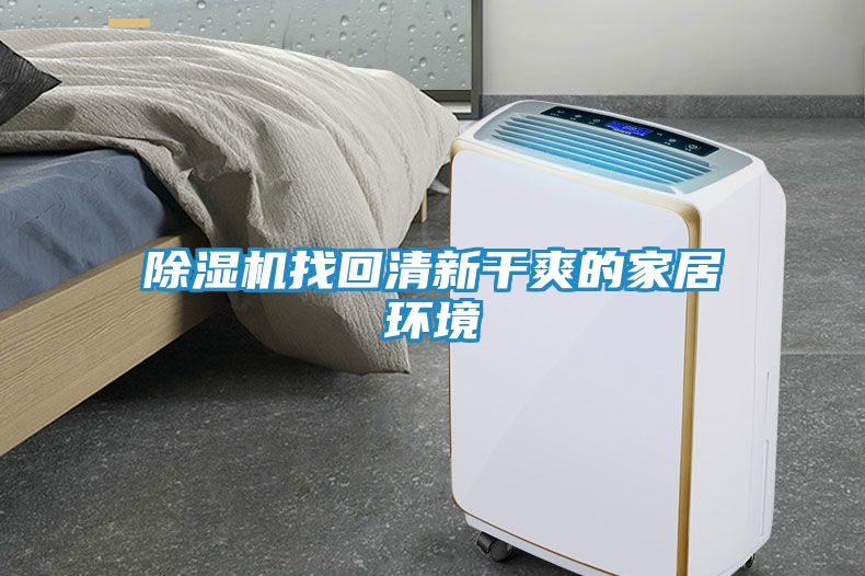 除湿机找回清新干爽的家居环境