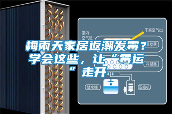 梅雨天家居返潮发霉？学会这些，让“霉运”走开