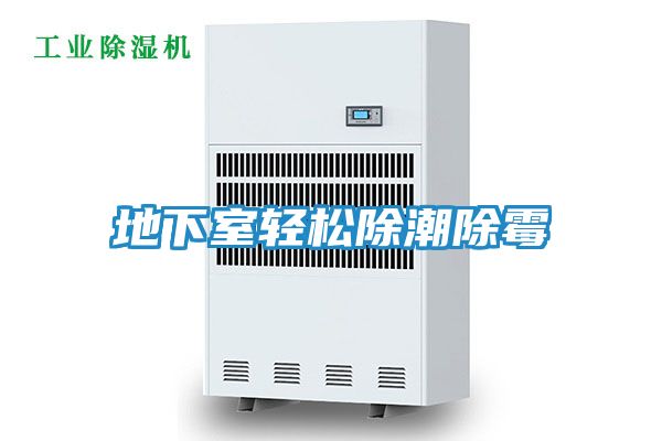 地下室轻松除潮除霉
