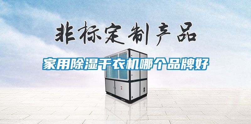 家用除湿干衣机哪个品牌好