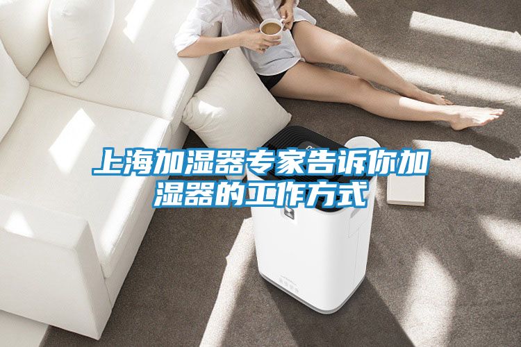 上海加湿器专家告诉你加湿器的工作方式