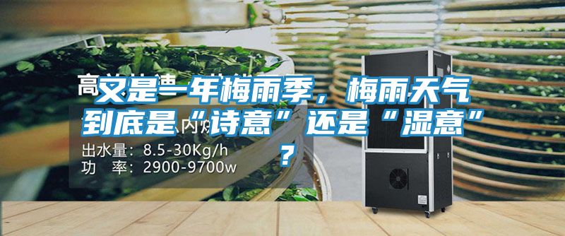 又是一年梅雨季，梅雨天气到底是“诗意”还是“湿意”？