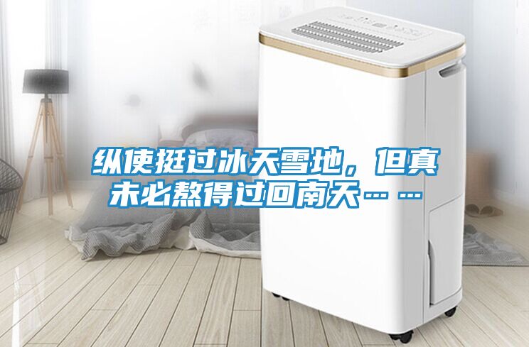 纵使挺过冰天雪地，但真未必熬得过回南天……