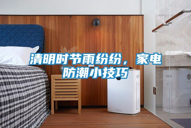 清明时节雨纷纷，家电防潮小技巧