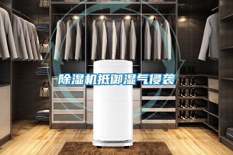 除湿机抵御湿气侵袭