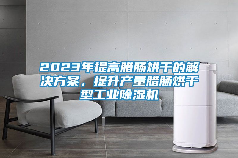 2023年提高腊肠烘干的解决方案，提升产量腊肠烘干型工业除湿机