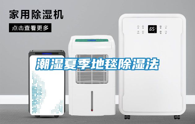 潮湿夏季地毯除湿法