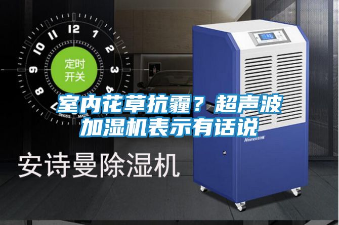 室内花草抗霾？超声波加湿机表示有话说