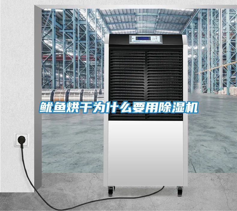 鱿鱼烘干为什么要用除湿机