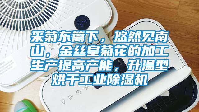 采菊东篱下，悠然见南山，金丝皇菊花的加工生产提高产能，升温型烘干工业除湿机