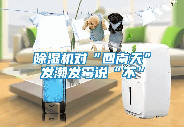 除湿机对“回南天”发潮发霉说“不”