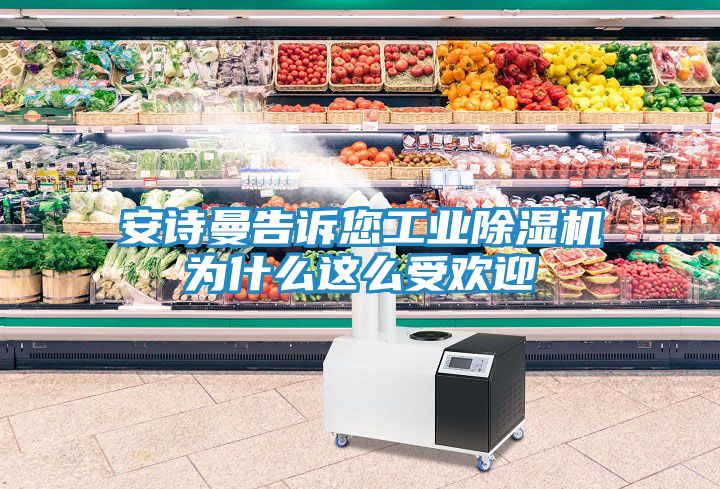 安诗曼告诉您工业除湿机为什么这么受欢迎
