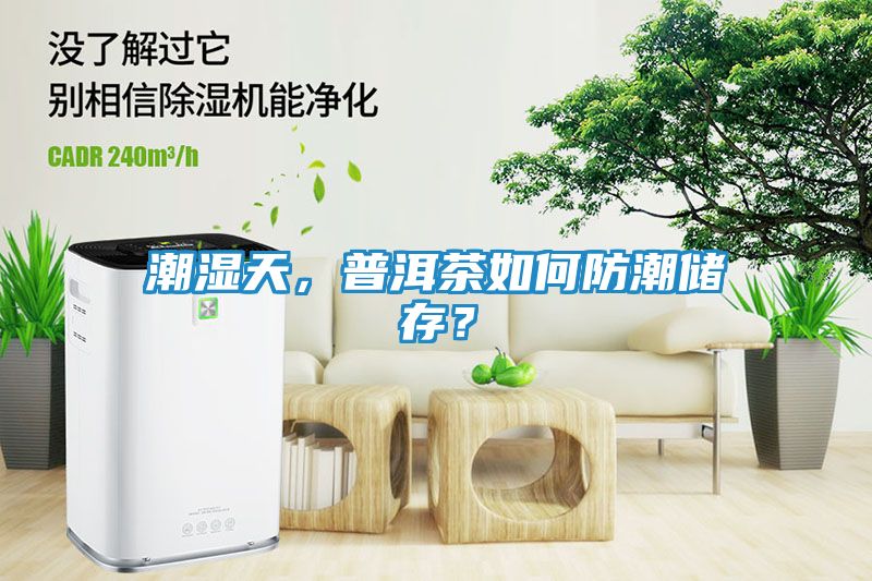潮湿天，普洱茶如何防潮储存？