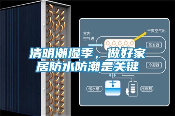 清明潮湿季，做好家居防水防潮是关键