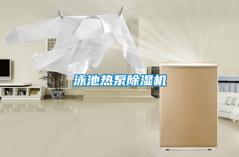 泳池热泵除湿机