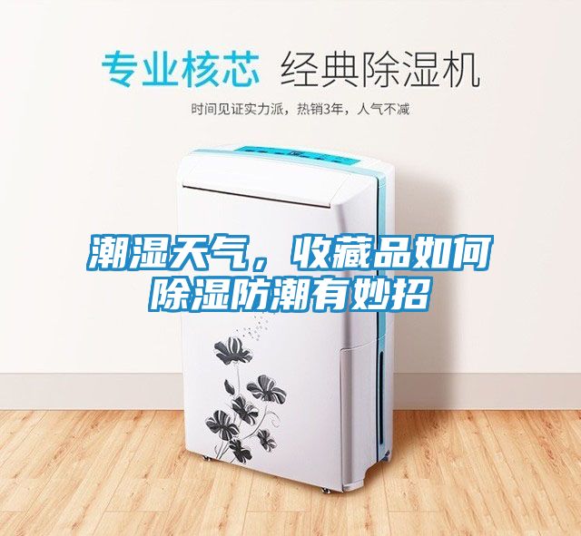 潮湿天气，收藏品如何除湿防潮有妙招