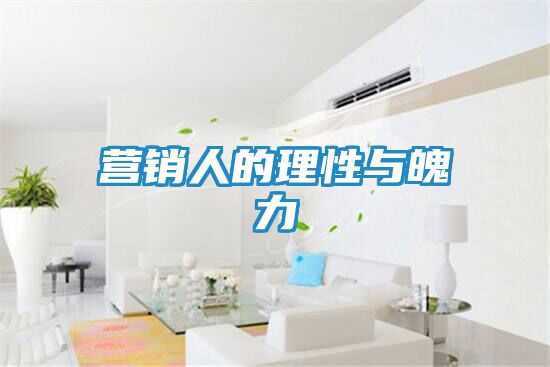 营销人的理性与魄力