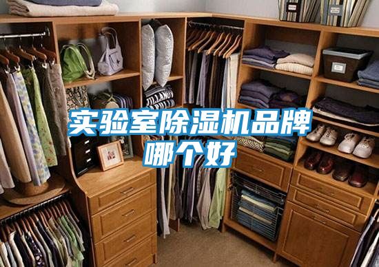 实验室除湿机品牌哪个好
