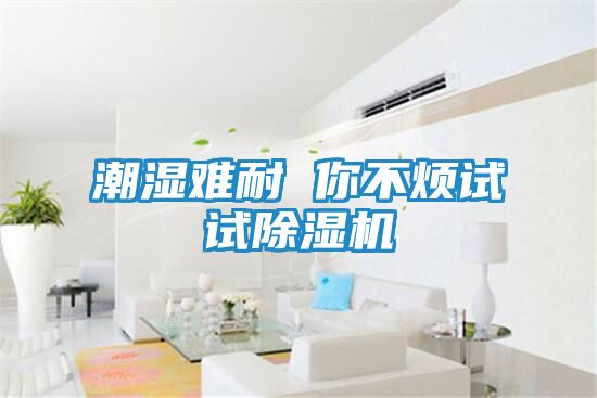 潮湿难耐 你不烦试试除湿机