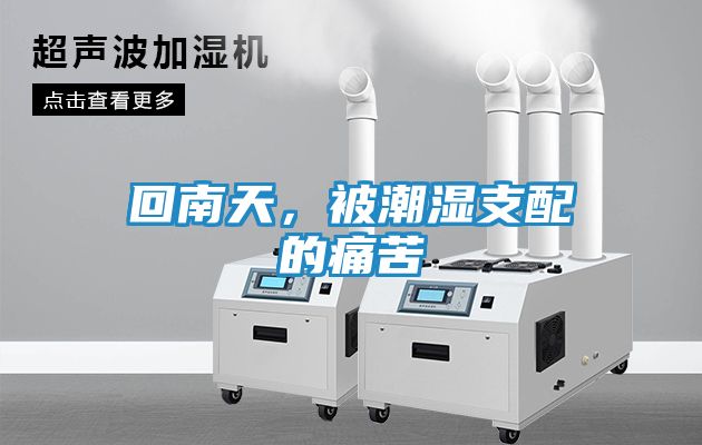 回南天，被潮湿支配的痛苦