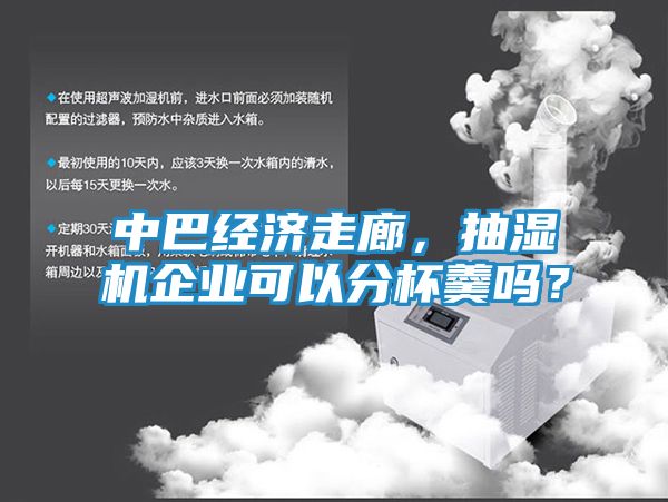 中巴经济走廊，抽湿机企业可以分杯羹吗？
