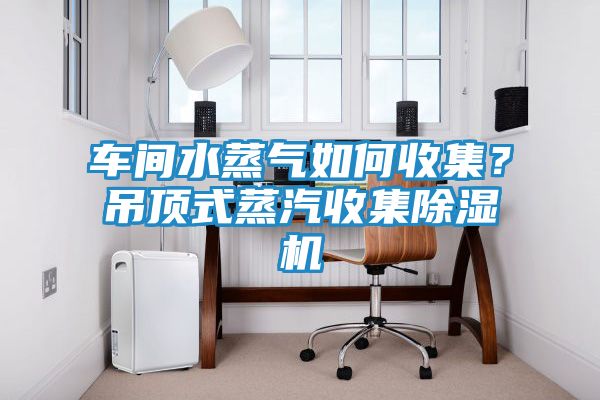 车间水蒸气如何收集？吊顶式蒸汽收集除湿机