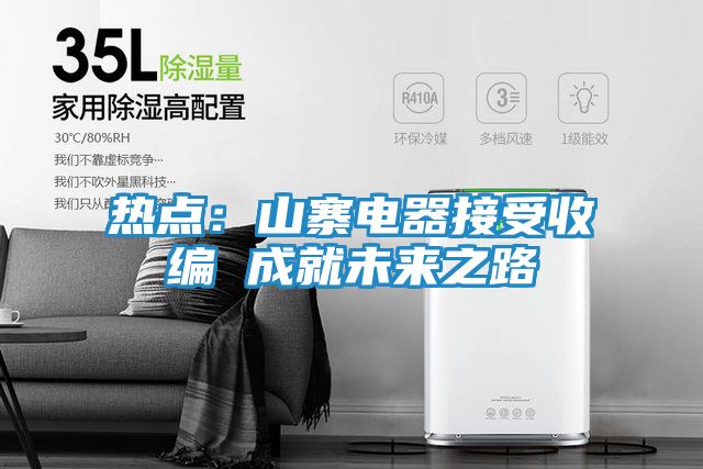 热点：山寨电器接受收编 成就未来之路