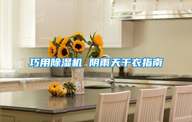 巧用除湿机 阴雨天干衣指南